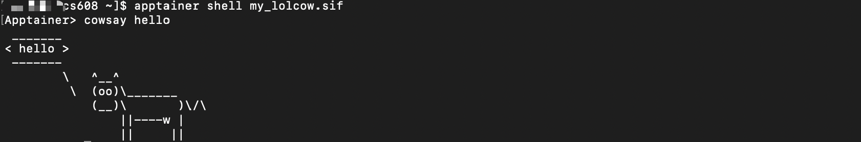 apptainer4